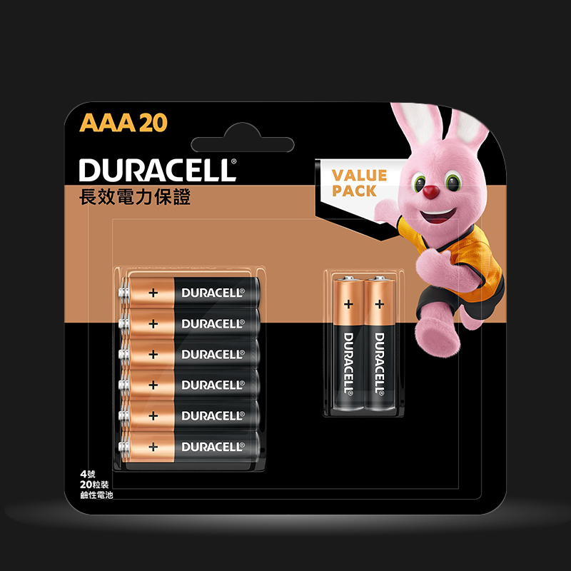 Duracell Alkaline AAA Batteries, pack of 20